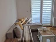 Izdavanje, jednosoban stan, 30m², Bulevar patrijarha Pavla, Novi Sad Sve Podlokacije - image 1