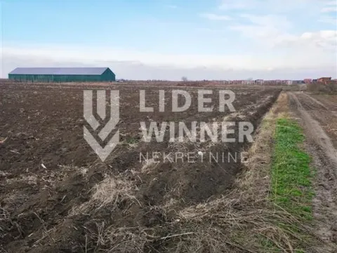 Sale, land lot, 16200m², Zemun Ugrinovci, Zemun Sve Podlokacije - image 2