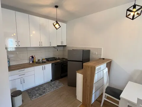 Rent, one bedroom apartment, 45m², City Kvart, Podgorica - image 3