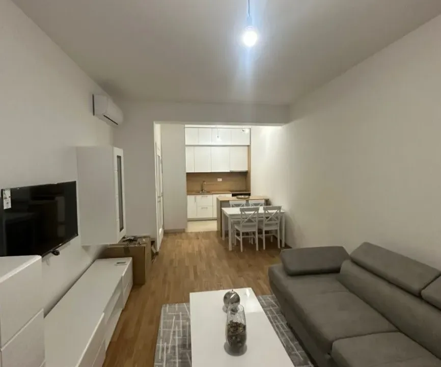 Rent, one bedroom apartment, 48m², Zabjelo, Podgorica