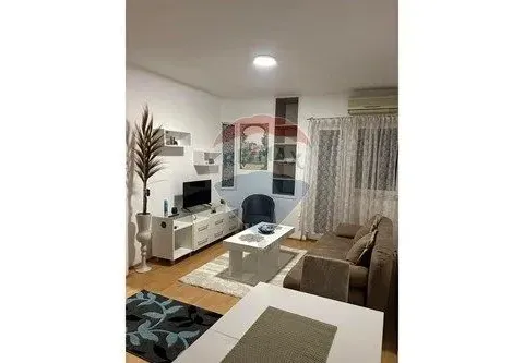 Izdavanje, jednosoban stan, 42m², Preko Morače, Podgorica - image 4