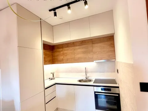Rent, one bedroom apartment, 48m², Ljubović, Podgorica - image 1