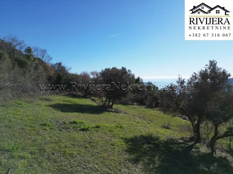 Prodaja, plac, 2306m², Trebesinj, Herceg Novi