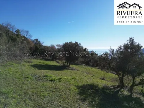 Prodaja, plac, 2306m², Trebesinj, Herceg Novi - image 3