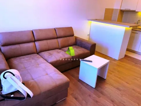 Rent, one bedroom apartment, 33m², Palilula, Niš - image 3