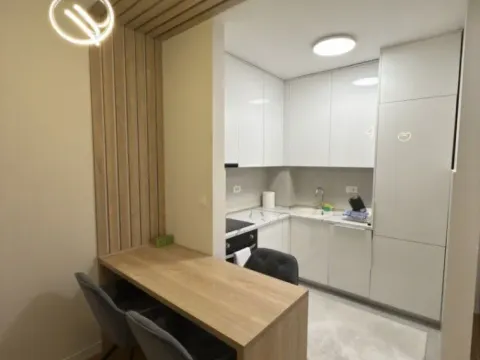 Izdavanje, jednosoban stan, 43m², Central Point, Podgorica