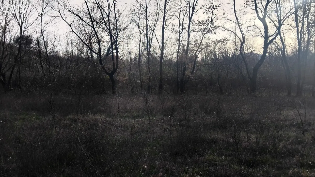 Sale, land lot, 2400m², Dajbabe, Podgorica