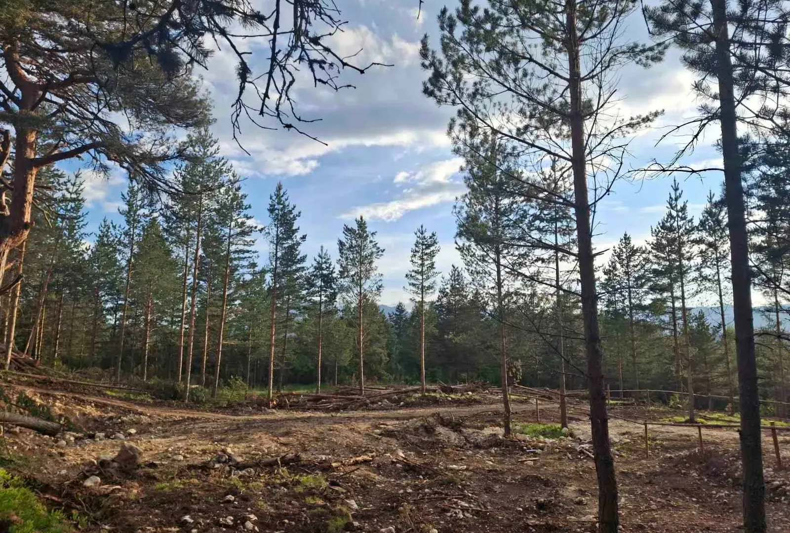 Prodaja, plac, 1150m², Žabljak, Crna Gora