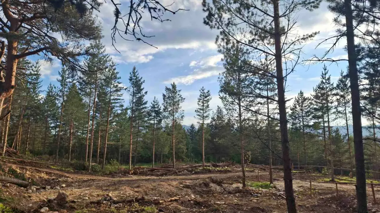 Sale, land lot, 1150m², Žabljak, Crna Gora