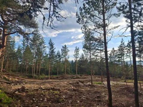 Sale, land lot, 1150m², Žabljak, Crna Gora