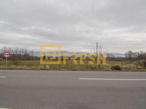 Prodaja, plac, 25000m², Danilovgrad, Crna Gora