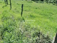 Prodaja, plac, Stepojevac, Lazarevac - image 3