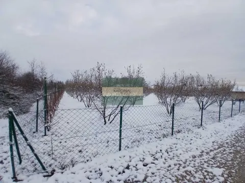 Zemljište in Petrovac