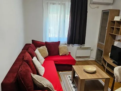 Izdavanje, jednosoban stan, 40m², Ljubović, Podgorica - image 5