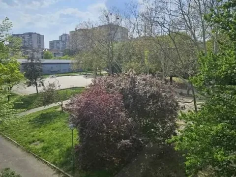 Izdavanje, dvosoban stan, 48m², Zemun Save Kovačevića, Zemun Sve Podlokacije - image 6