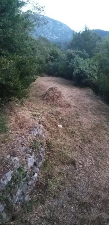 Prodaja, plac, 3200m², Kavač, Kotor