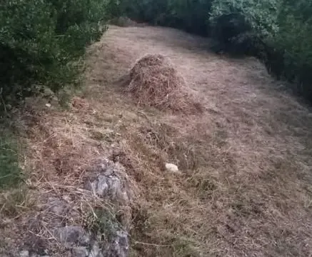 Prodaja, plac, 3200m², Kavač, Kotor - image 13