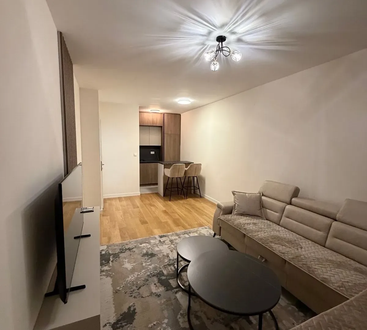 Izdavanje, jednosoban stan, 49m², Central Point, Podgorica
