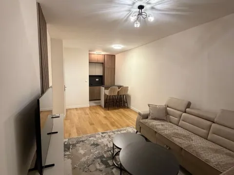 Izdavanje, jednosoban stan, 49m², Central Point, Podgorica - image 2