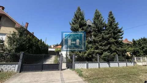 Pogled na dvorište i kapiju kuće sa visokim četinarima. - image 27