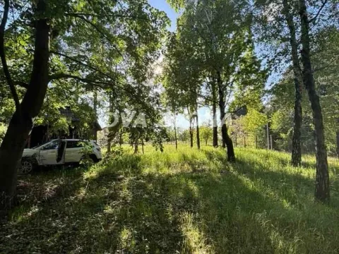 Prodaja, kuća, 20m², Čortanovci, Inđija - image 2