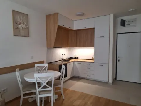 Izdavanje, jednosoban stan, 48m², Stari Aerodrom, Podgorica - image 5