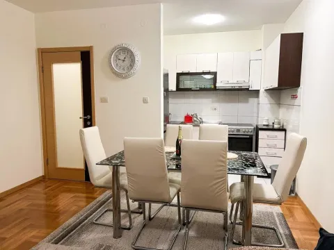 Izdavanje, jednosoban stan, 51m², Tuški Put, Podgorica - image 8
