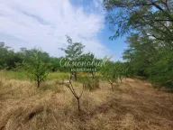 Prodaja, plac, Begaljica, Grocka - image 5