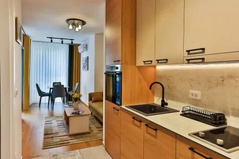Izdavanje, jednosoban stan, 47m², Rozino, Budva - image 6