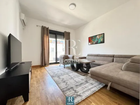Izdavanje, jednosoban stan, 70m², Centar, Podgorica - image 2
