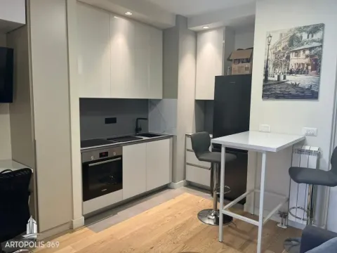 Rent, one bedroom apartment, 30m², Savski Venac, Beograd - image 5