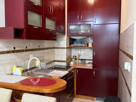 Izdavanje, jednosoban stan, 45m², Centar, Podgorica - image 4