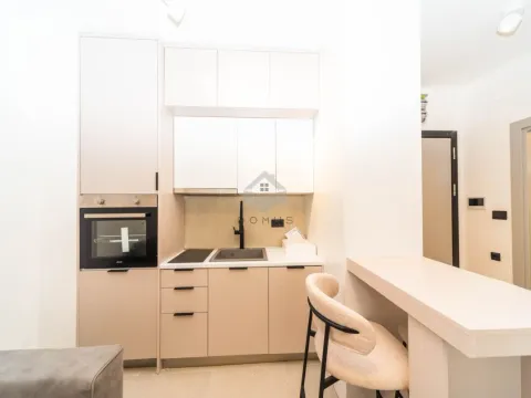 Izdavanje, stan, 24m², Zabjelo, Podgorica - image 4