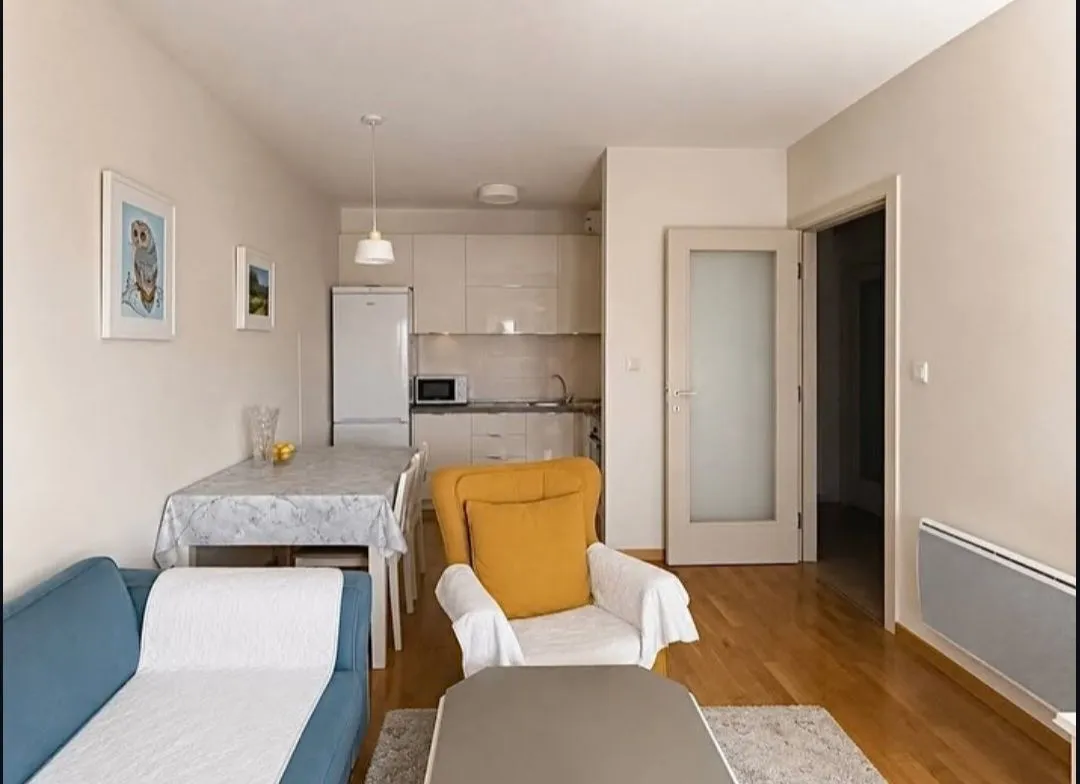 Rent, one bedroom apartment, 41m², Zabjelo, Podgorica