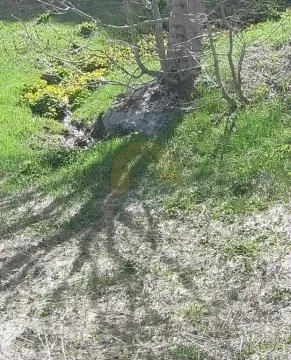 Sale, land lot, 6600m², Kolašin, Crna Gora - image 5