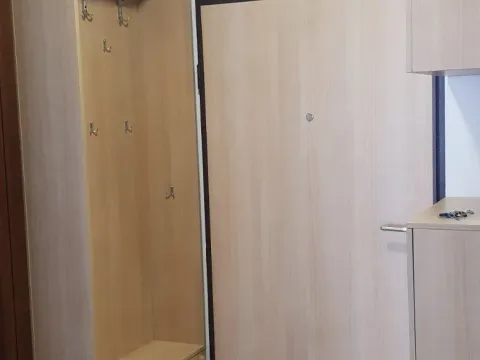 Izdavanje, jednosoban stan, 54m², Stara Varoš, Podgorica - image 7