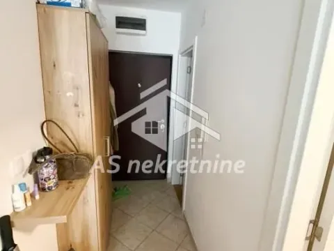 Rent, apartment, 40m², Južni Bulevar, Vračar Sve Podlokacije - image 9