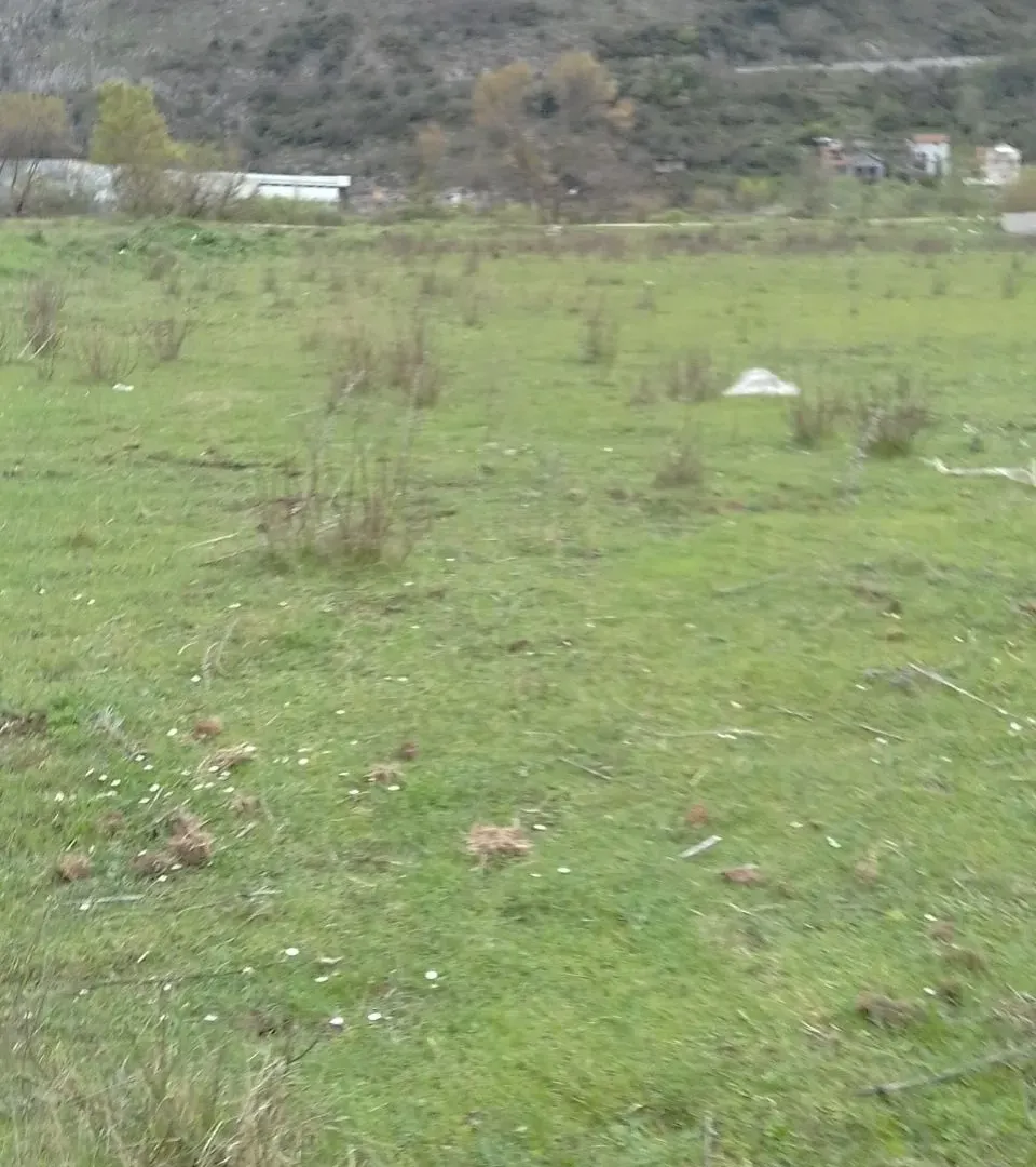 Prodaja, plac, 4202m², Herceg Novi, Crna Gora