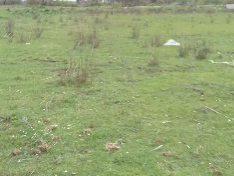 Prodaja, plac, 4202m², Herceg Novi, Crna Gora - image 3