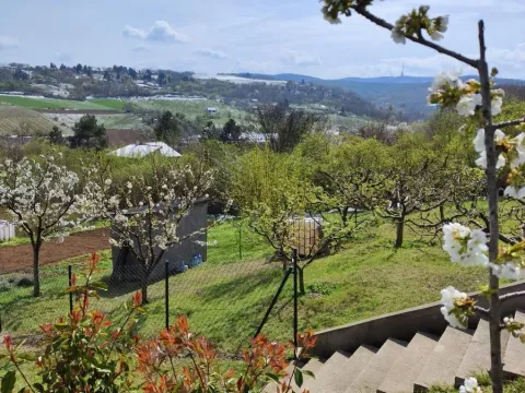 Prodaja, kuća, 337m², Sremska Kamenica, Petrovaradin - image 36