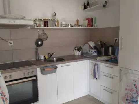 Sale, one bedroom apartment, 48m², Rozino, Budva - image 3