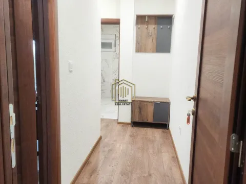 Rent, one bedroom apartment, 55m², Zabjelo, Podgorica - image 2