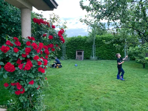 Prodaja, kuća, 250m², Donja Gorica, Podgorica - image 21