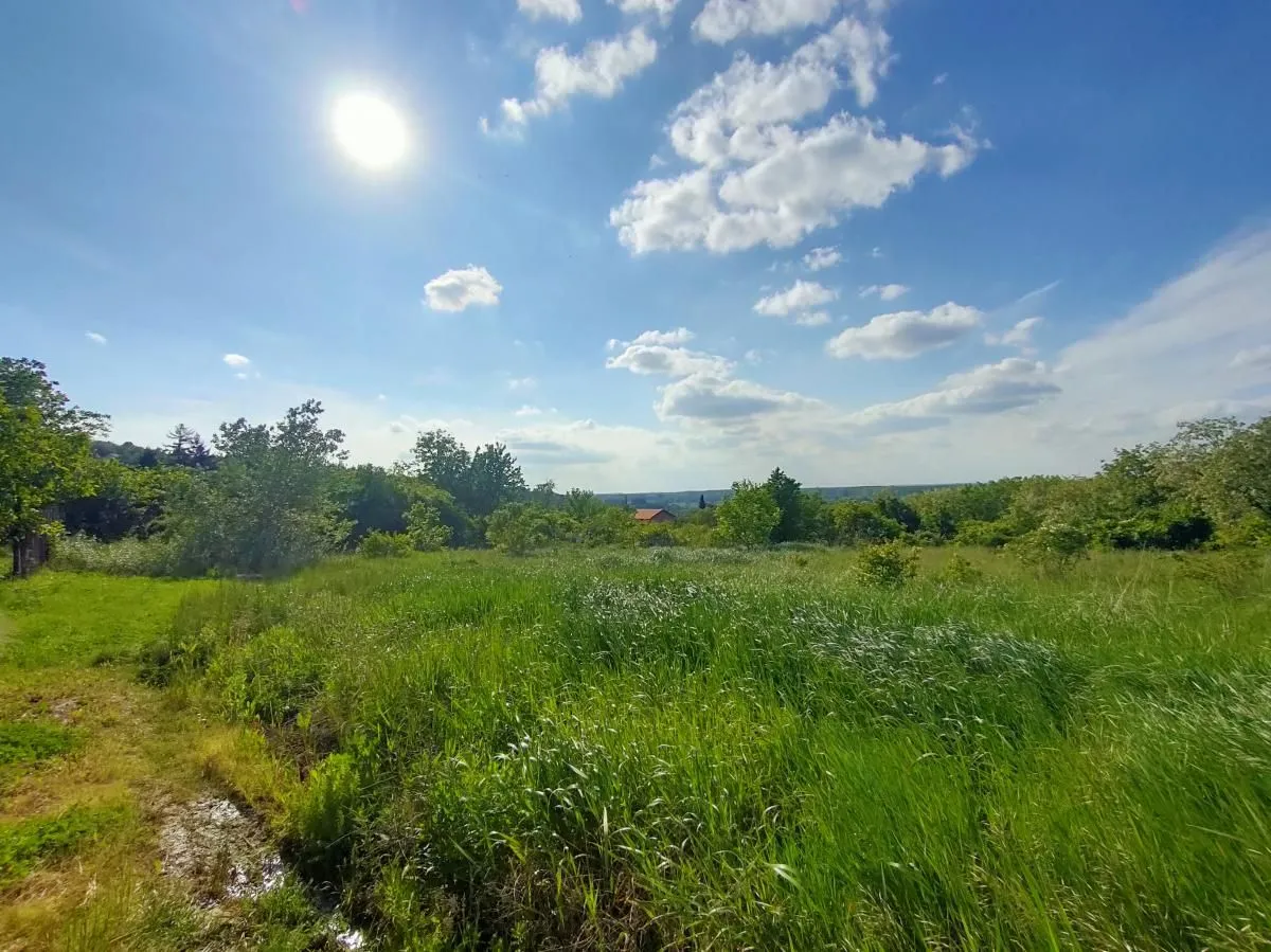Prodaja, plac, 5000m², Ledinci, Petrovaradin