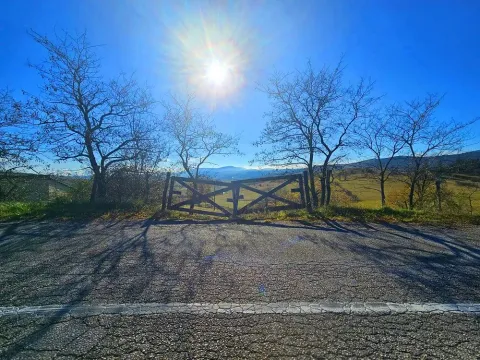 Sale, land lot, 2107m², Tometino Polje, Požega - image 5