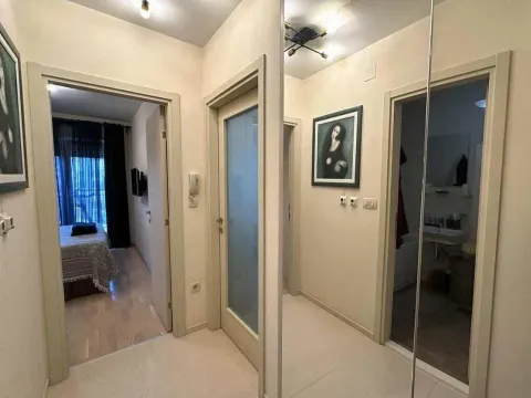 Rent, one bedroom apartment, 49m², Vezirov Most, Podgorica - image 4