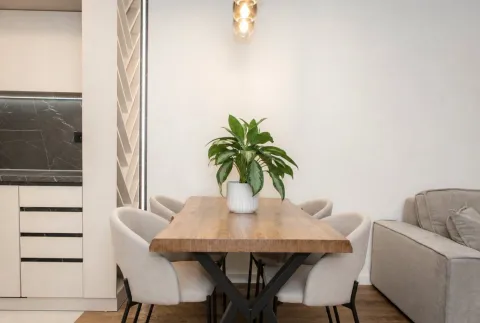 Rent, one bedroom apartment, 46m², Stari Aerodrom, Podgorica - image 3