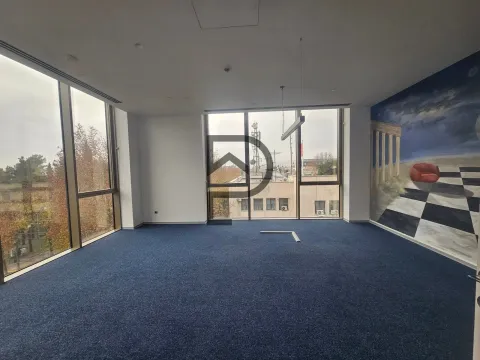 Izdavanje, poslovni prostor, 260m², Centar, Podgorica - image 9