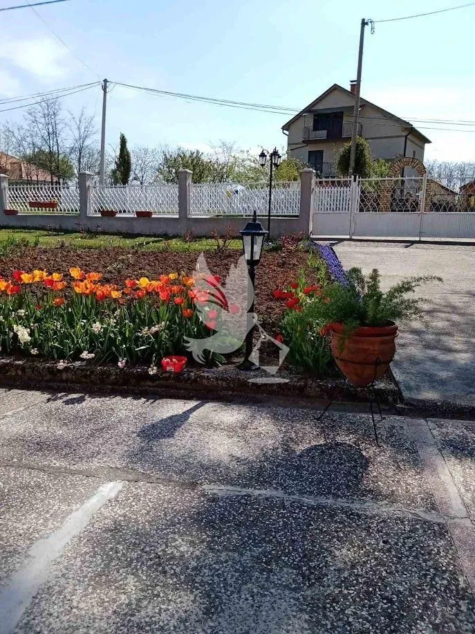 Prodaja, kuća, 275m², Sopot, Beograd