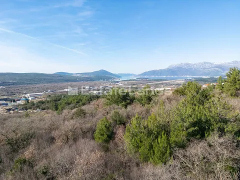 Prodaja, plac, 4372m², Dub, Kotor - image 5